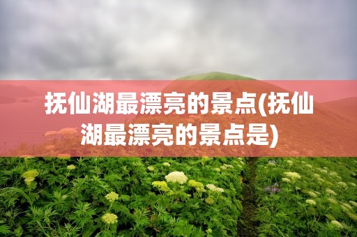 抚仙湖最漂亮的景点(抚仙湖最漂亮的景点是)