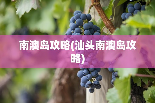 南澳岛攻略(汕头南澳岛攻略)
