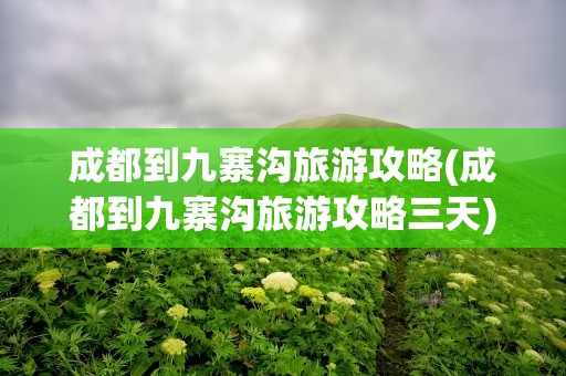 成都到九寨沟旅游攻略(成都到九寨沟旅游攻略三天)