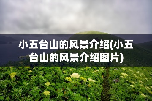 小五台山的风景介绍(小五台山的风景介绍图片)