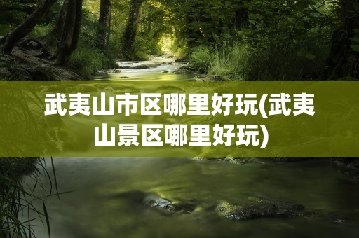 武夷山市区哪里好玩(武夷山景区哪里好玩)