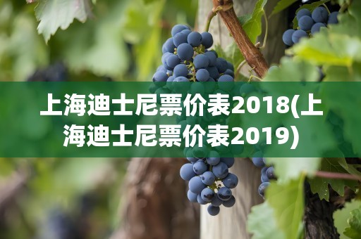 上海迪士尼票价表2018(上海迪士尼票价表2019)