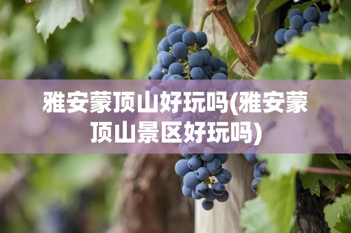 雅安蒙顶山好玩吗(雅安蒙顶山景区好玩吗)