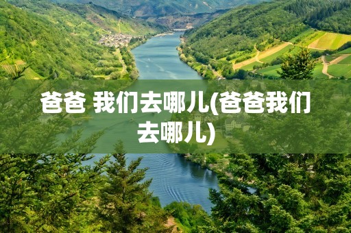 爸爸 我们去哪儿(爸爸我们去哪儿)