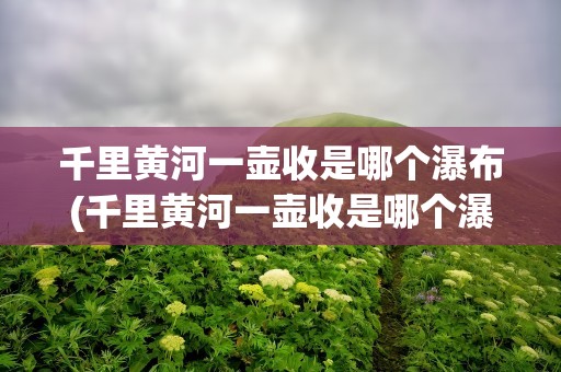 千里黄河一壶收是哪个瀑布(千里黄河一壶收是哪个瀑布打回答)