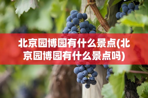 北京园博园有什么景点(北京园博园有什么景点吗)