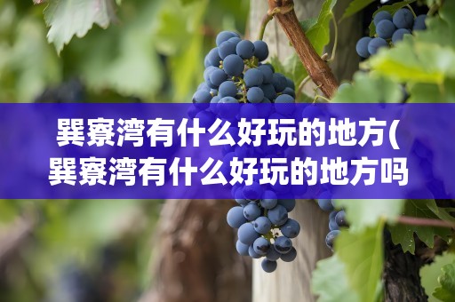 巽寮湾有什么好玩的地方(巽寮湾有什么好玩的地方吗)
