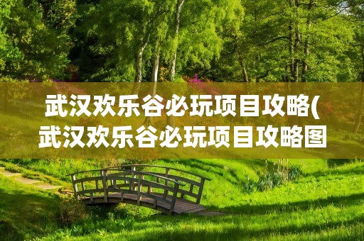 武汉欢乐谷必玩项目攻略(武汉欢乐谷必玩项目攻略图)