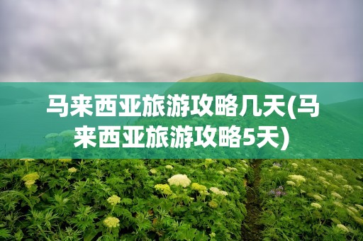 马来西亚旅游攻略几天(马来西亚旅游攻略5天)