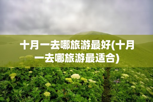 十月一去哪旅游最好(十月一去哪旅游最适合)
