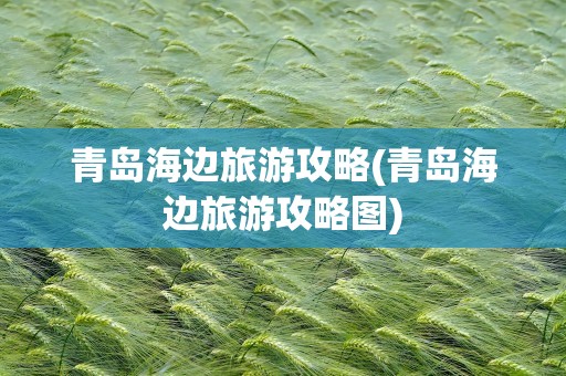 青岛海边旅游攻略(青岛海边旅游攻略图)