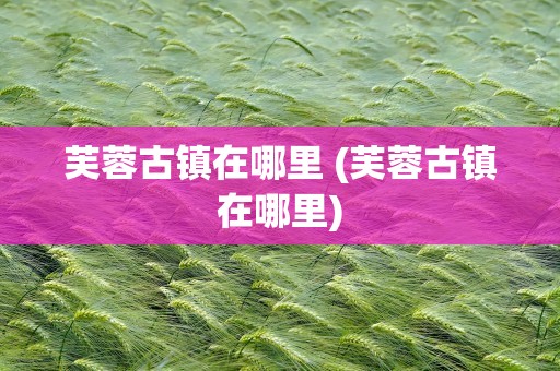 芙蓉古镇在哪里 (芙蓉古镇在哪里)