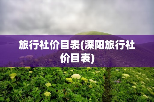 旅行社价目表(溧阳旅行社价目表)