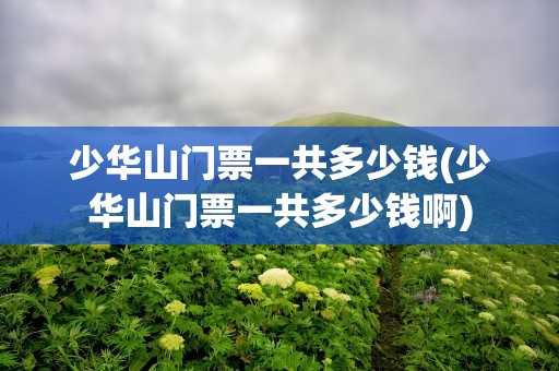 少华山门票一共多少钱(少华山门票一共多少钱啊)