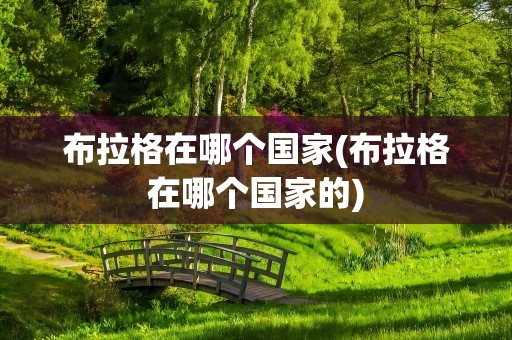 布拉格在哪个国家(布拉格在哪个国家的)