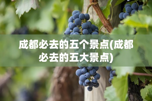 成都必去的五个景点(成都必去的五大景点)