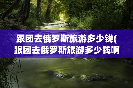 跟团去俄罗斯旅游多少钱(跟团去俄罗斯旅游多少钱啊)