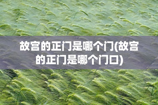 故宫的正门是哪个门(故宫的正门是哪个门口)