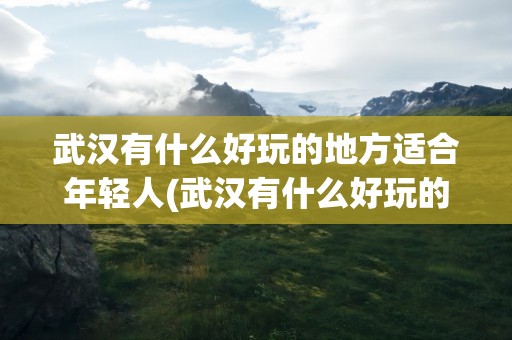 武汉有什么好玩的地方适合年轻人(武汉有什么好玩的地方适合年轻人玩)