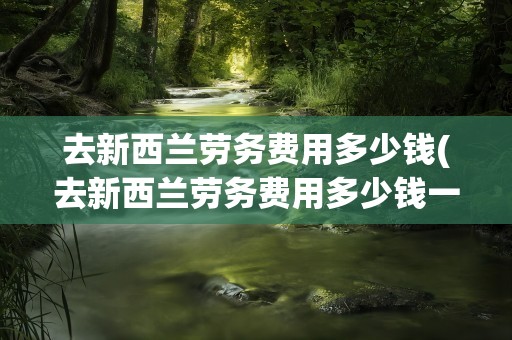 去新西兰劳务费用多少钱(去新西兰劳务费用多少钱一年)