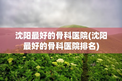 沈阳最好的骨科医院(沈阳最好的骨科医院排名)