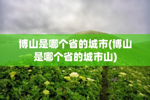 博山是哪个省的城市(博山是哪个省的城市山)