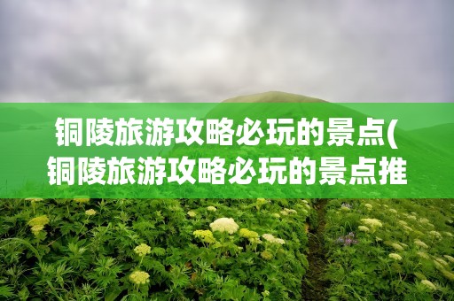 铜陵旅游攻略必玩的景点(铜陵旅游攻略必玩的景点推荐)