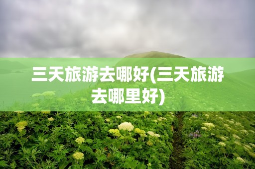 三天旅游去哪好(三天旅游去哪里好)