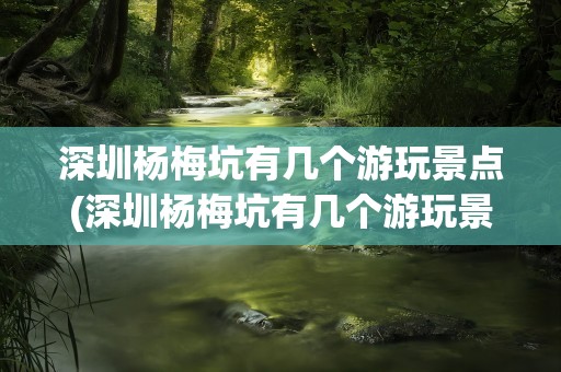 深圳杨梅坑有几个游玩景点(深圳杨梅坑有几个游玩景点啊)