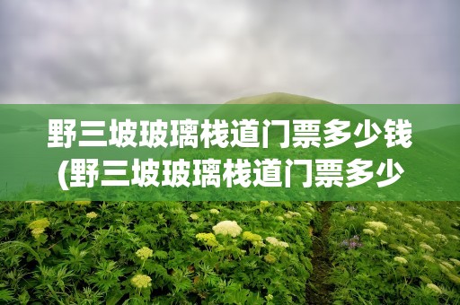 野三坡玻璃栈道门票多少钱(野三坡玻璃栈道门票多少钱一位)