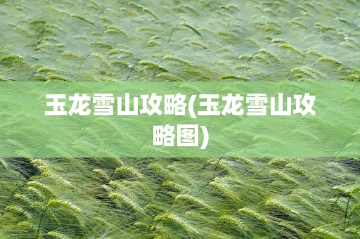 玉龙雪山攻略(玉龙雪山攻略图)