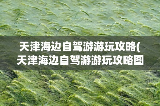 天津海边自驾游游玩攻略(天津海边自驾游游玩攻略图)