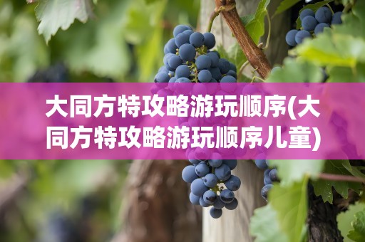 大同方特攻略游玩顺序(大同方特攻略游玩顺序儿童)