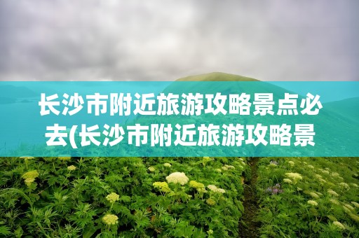 长沙市附近旅游攻略景点必去(长沙市附近旅游攻略景点必去的地方)