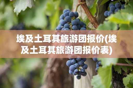 埃及土耳其旅游团报价(埃及土耳其旅游团报价表)