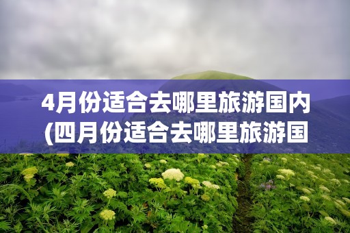 4月份适合去哪里旅游国内(四月份适合去哪里旅游国内)