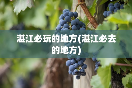 湛江必玩的地方(湛江必去的地方)