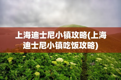 上海迪士尼小镇攻略(上海迪士尼小镇吃饭攻略)