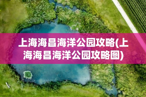 上海海昌海洋公园攻略(上海海昌海洋公园攻略图)