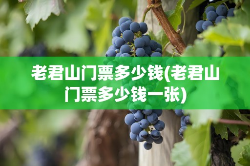 老君山门票多少钱(老君山门票多少钱一张)