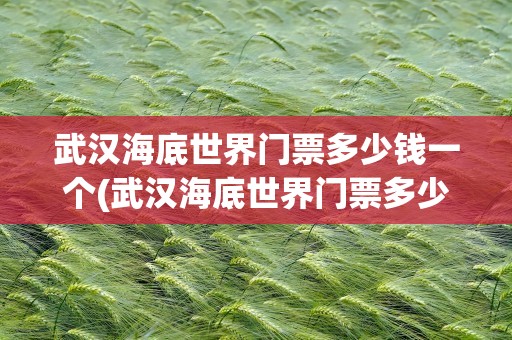 武汉海底世界门票多少钱一个(武汉海底世界门票多少钱一张)