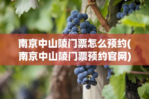 南京中山陵门票怎么预约(南京中山陵门票预约官网)