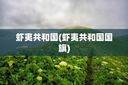 虾夷共和国(虾夷共和国国旗)