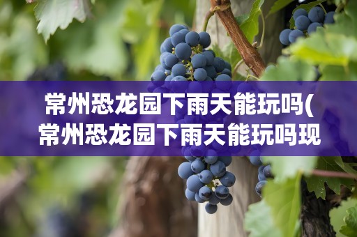 常州恐龙园下雨天能玩吗(常州恐龙园下雨天能玩吗现在)