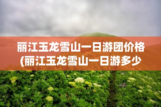 丽江玉龙雪山一日游团价格(丽江玉龙雪山一日游多少钱)