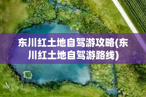 东川红土地自驾游攻略(东川红土地自驾游路线)