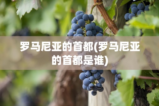 罗马尼亚的首都(罗马尼亚的首都是谁)