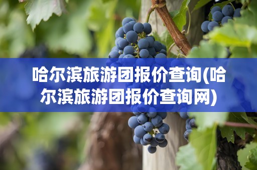 哈尔滨旅游团报价查询(哈尔滨旅游团报价查询网)