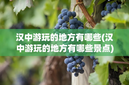汉中游玩的地方有哪些(汉中游玩的地方有哪些景点)