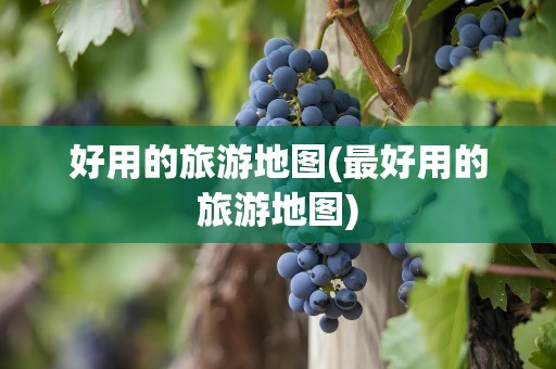 好用的旅游地图(最好用的旅游地图)